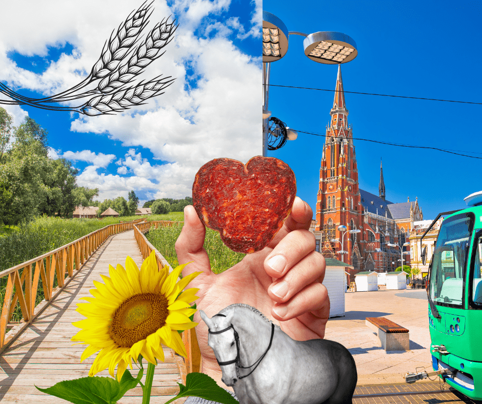 Otkrijte ljepote Slavonije i Baranje - vikend destinacije koje su naši favoriti