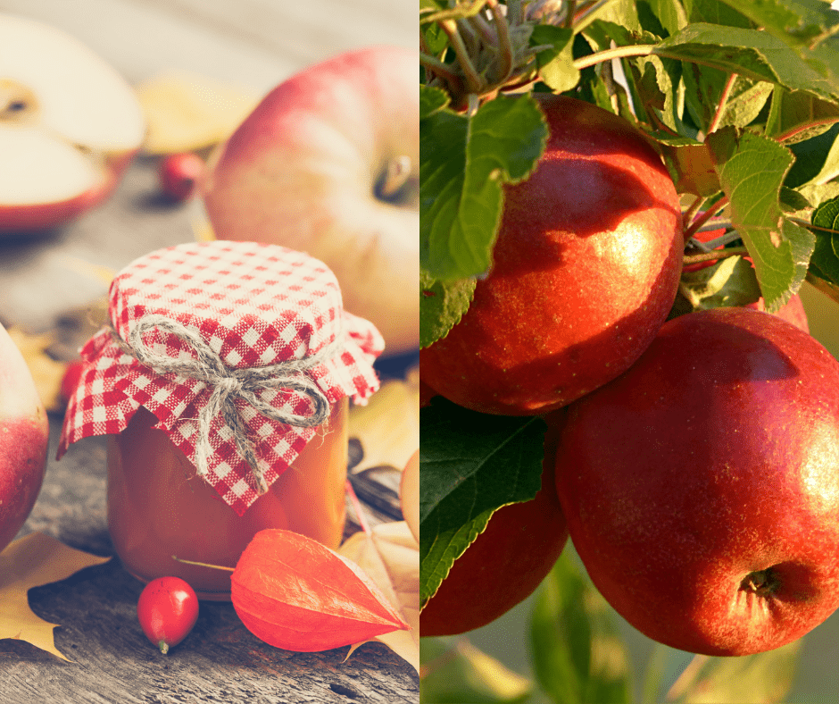 "Jabuka na dan tjera doktora van": Evo zašto je ona dobra i kako ju sve možete iskoristiti