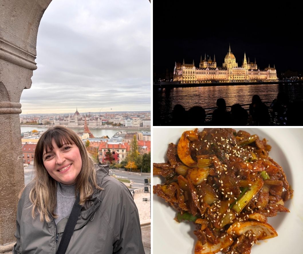 Svi hvale Budimpeštu, a mene je upravo zbog jedne stvari ove godine razočarala