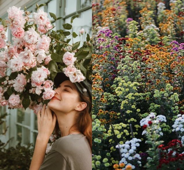 Najmirisnije cvijeće koje možete posaditi: ovih 10 trebate imati ako želite mirisni vrt