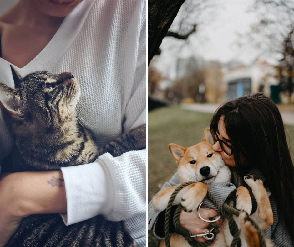 Empatija prema životinjama: zašto neke ljude više pogađaju scene sa životinjama nego s ljudima?