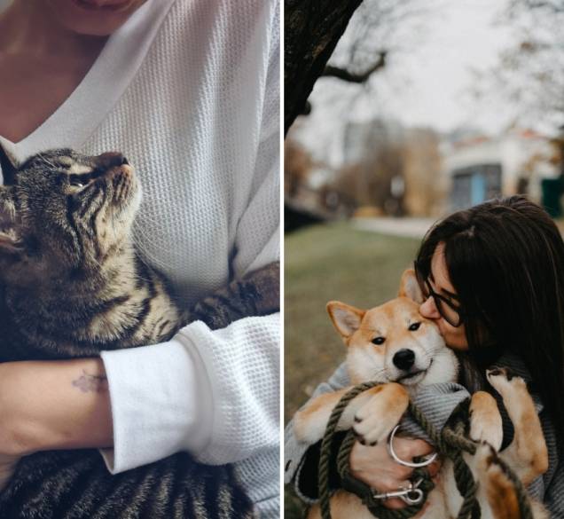 Empatija prema životinjama: zašto neke ljude više pogađaju scene sa životinjama nego s ljudima?