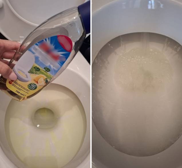 Gel za čišćenje toaletne školjke koji košta samo 1,50 €: puno mi je bolji od nekih skupljih verzija