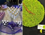 Kako prepoznati što je zaista zdravo i održivo te zašto to više nije tako jednostavno?