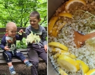 Sok od bazge – kako napraviti domaći sok koji djeca obožavaju piti i pripremati?