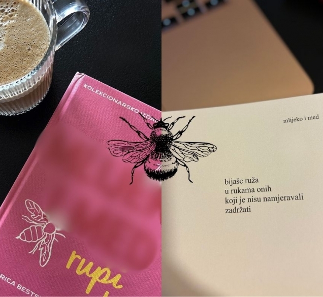 Knjiga koja me natjerala da zastanem i osjetim svaku riječ: neke knjige se čitaju, a neke osjećaju